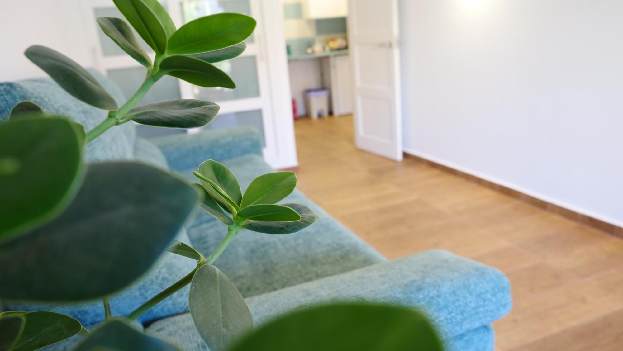 Tuerkiz Kanaan Apartman Пуерто де Сантяго Екстериор снимка